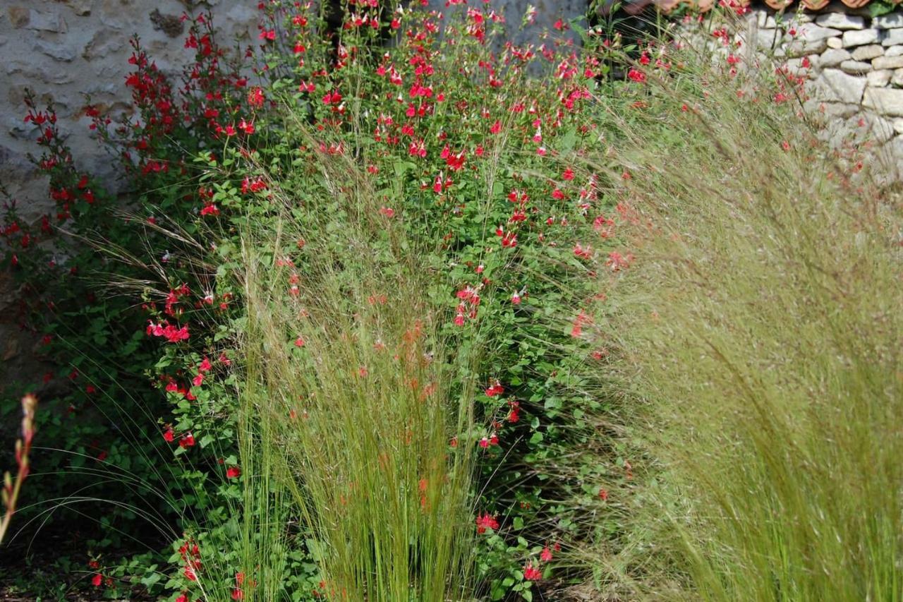 Petit En Braconne * La Rochette (Charente)